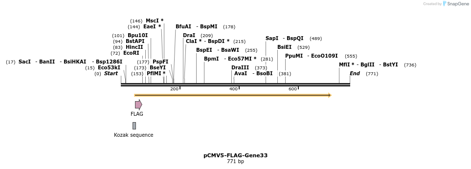 27373_map