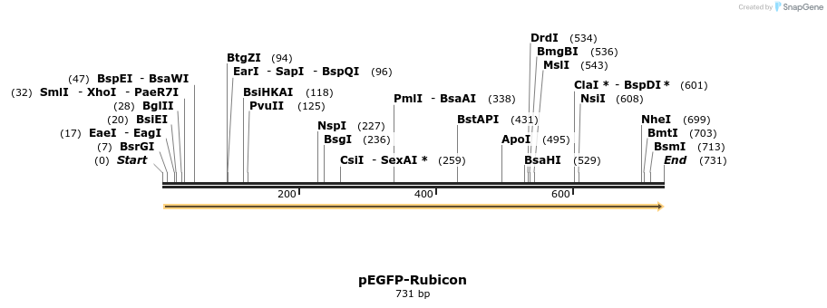 27376_map