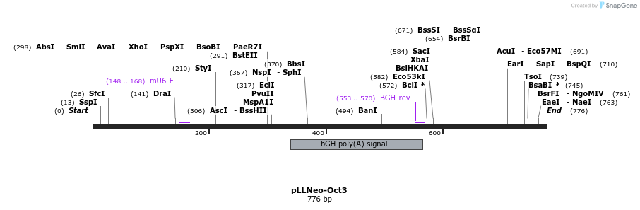 27382_map