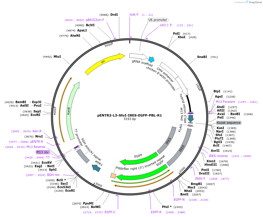 273820_map
