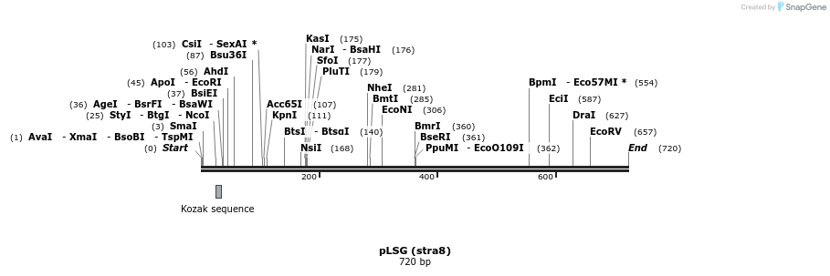 27384_map