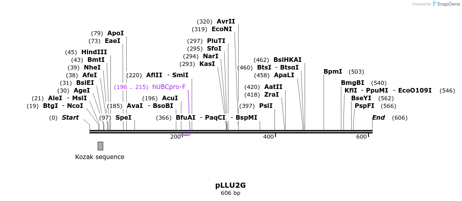 27385_map