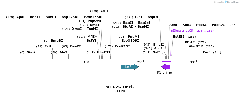 27389_map