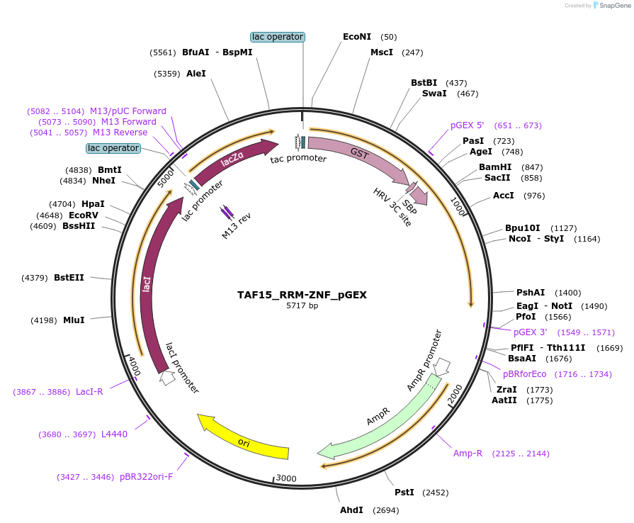 273916_map