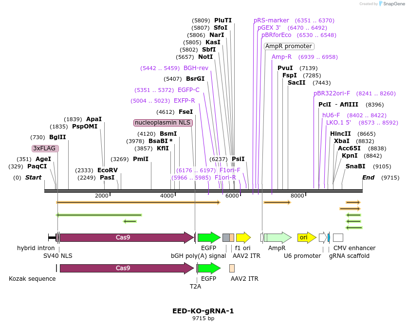 273921_map