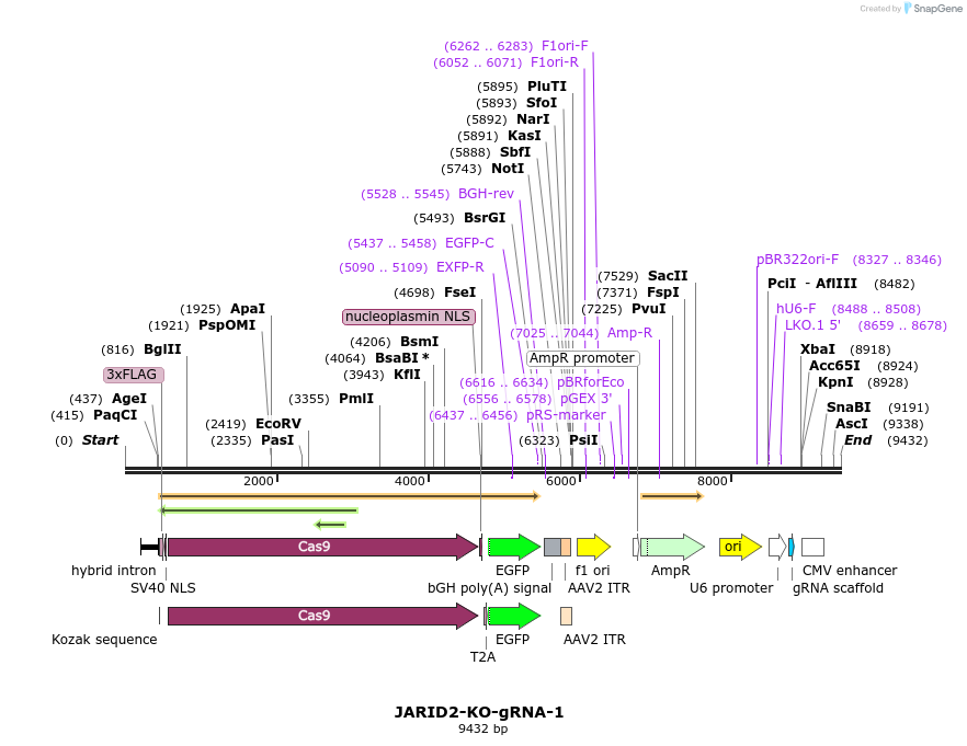 273946_map