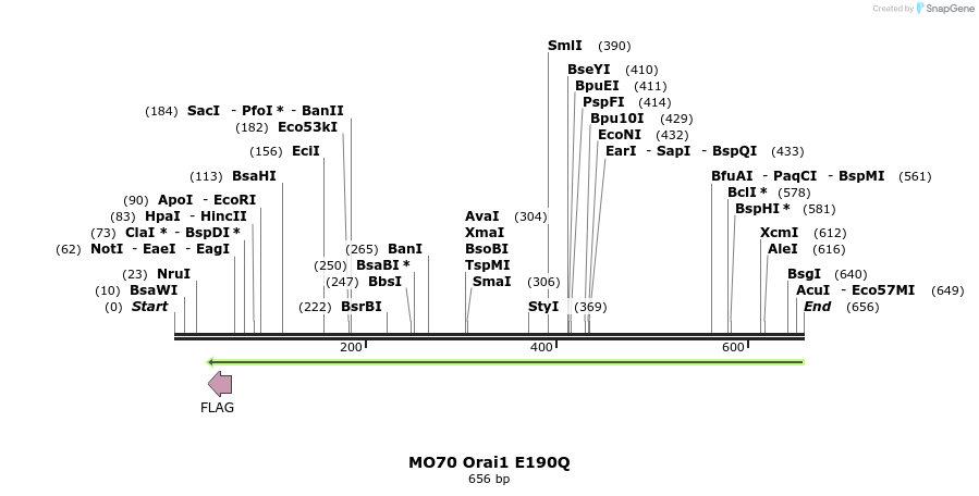 27396_map