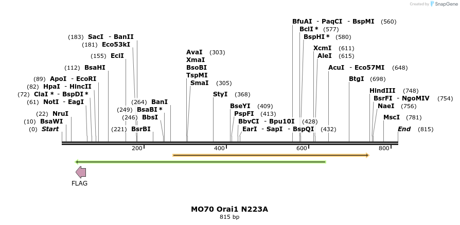 27397_map