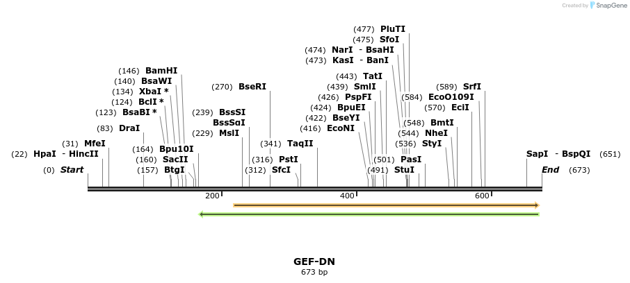 27398_map