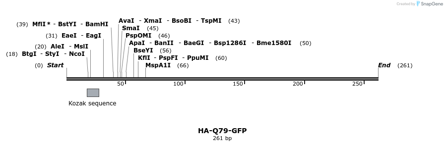 27401_map