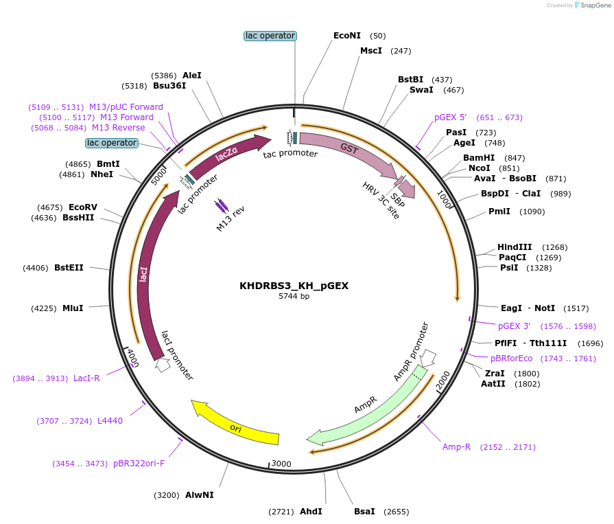 274014_map
