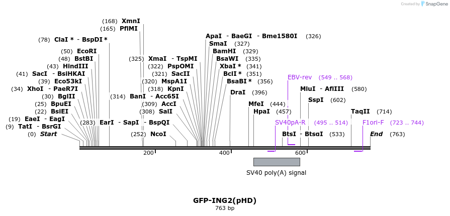 27402_map