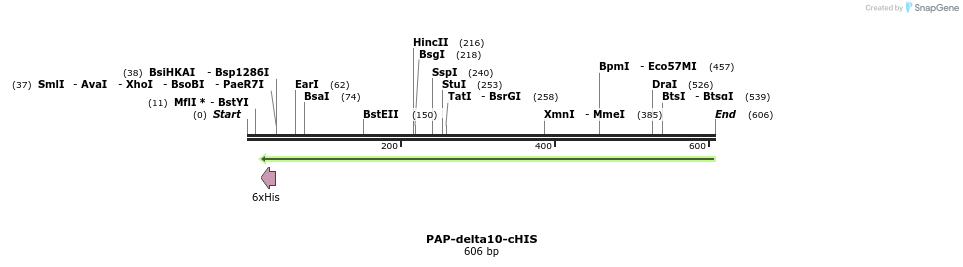 27403_map
