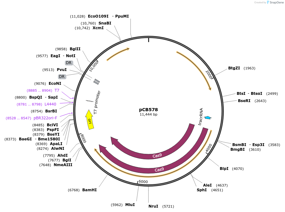 274090_map