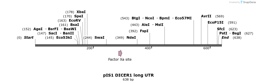 27413_map