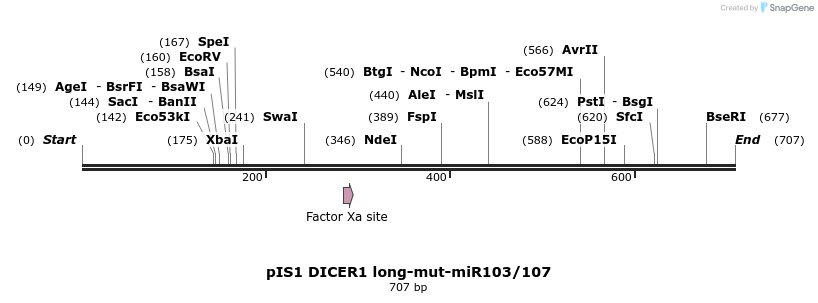 27415_map