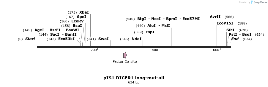 27416_map