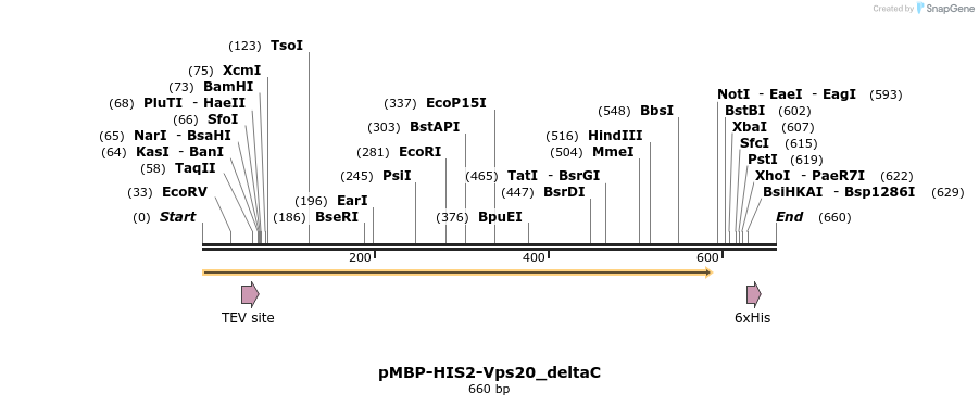 27423_map
