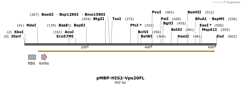 27424_map