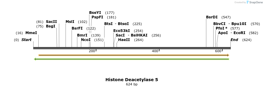 27429_map