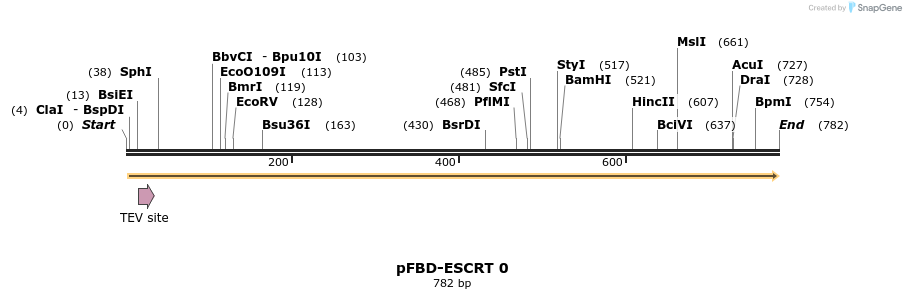 27437_map