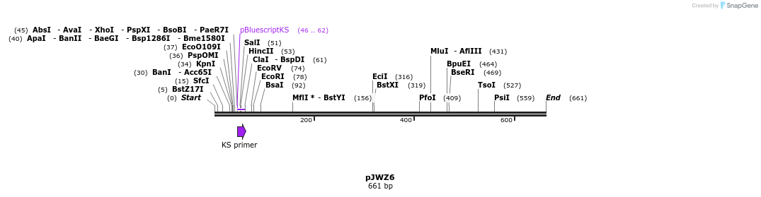 27446_map