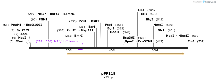 27449_map