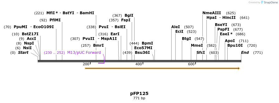 27452_map
