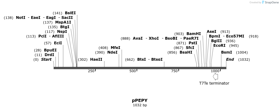 274529_map