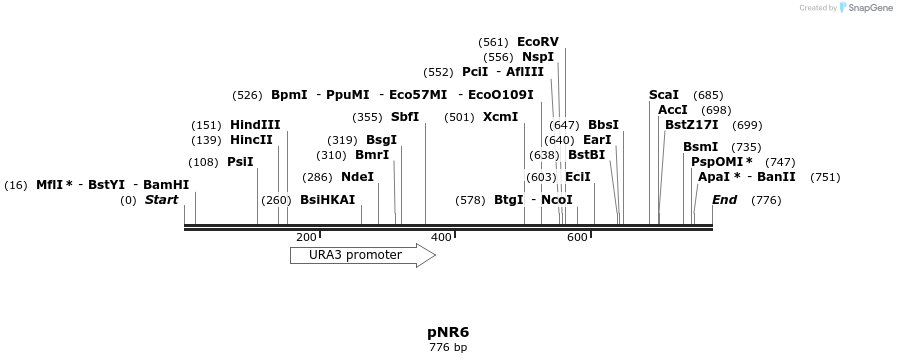 27453_map