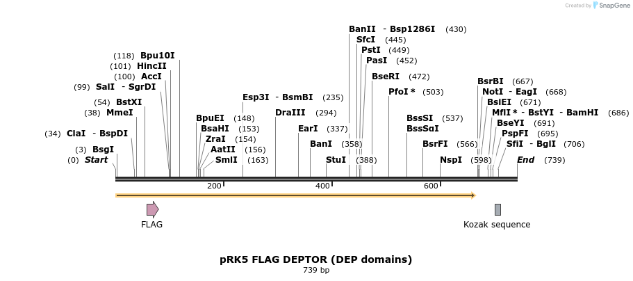 27460_map