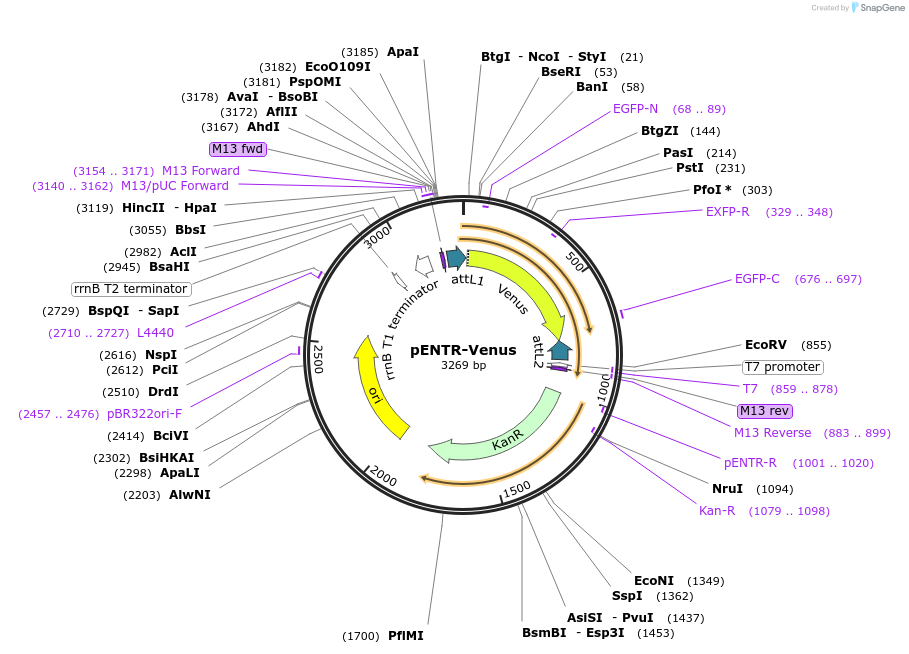 274619_map