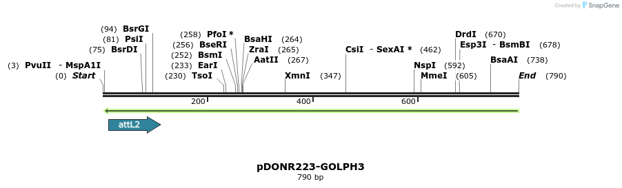 27462_map