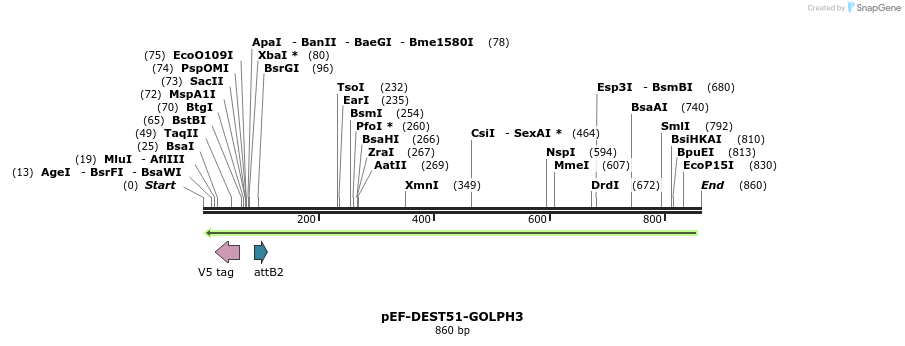 27464_map