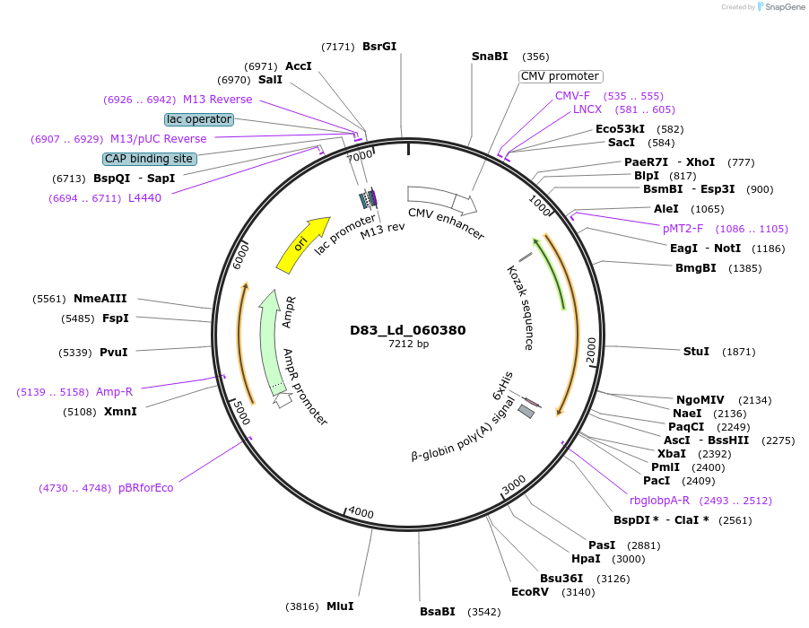 274685_map