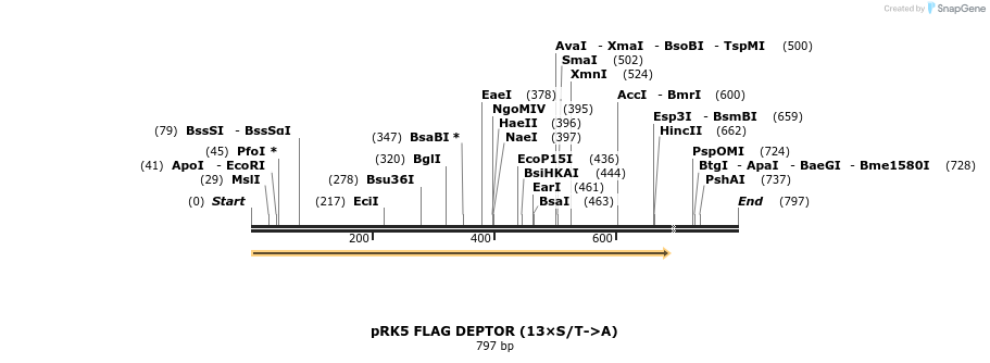 27470_map