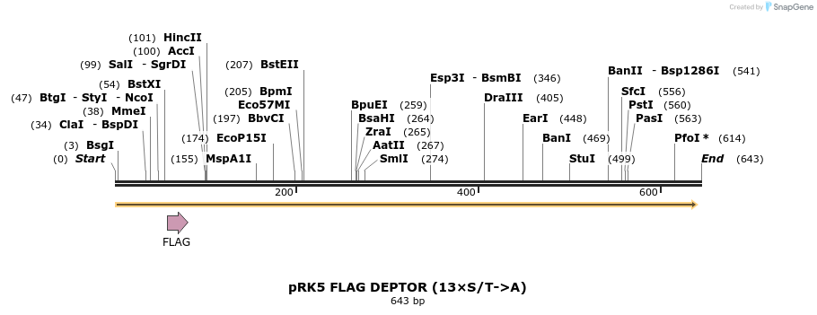 27471_map