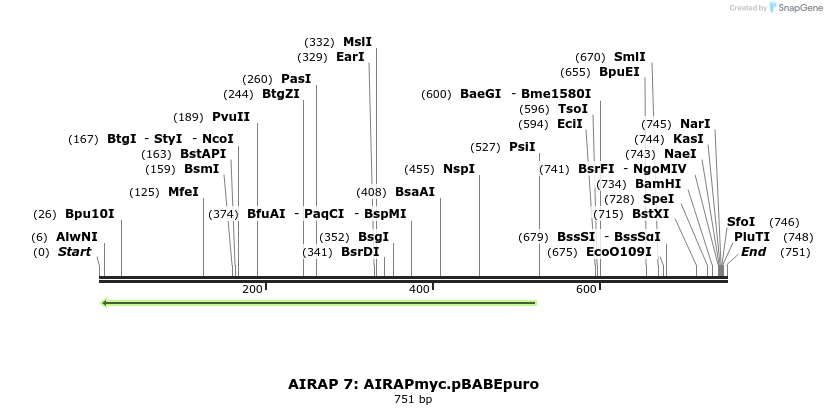 27475_map
