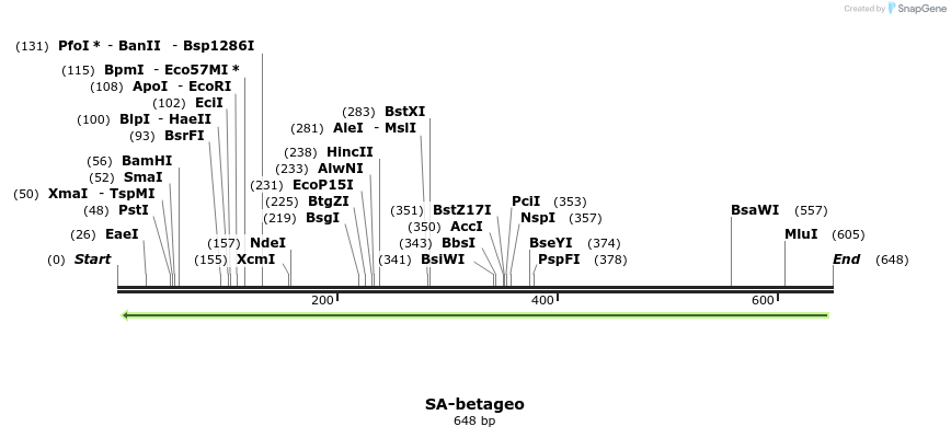 27479_map