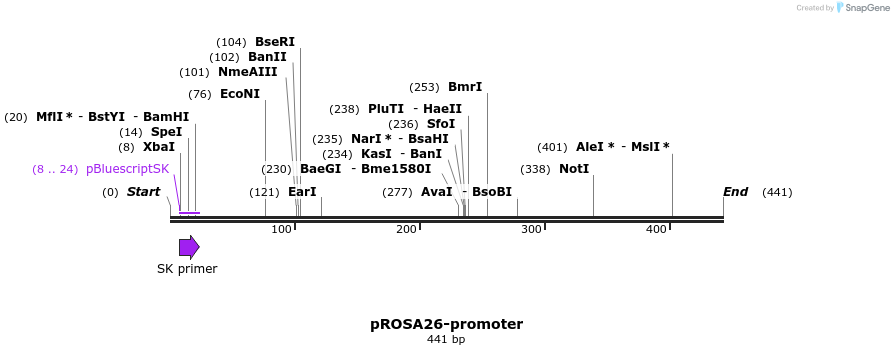 27481_map