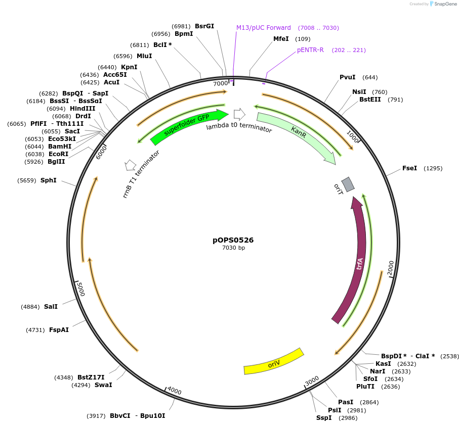 274826_map