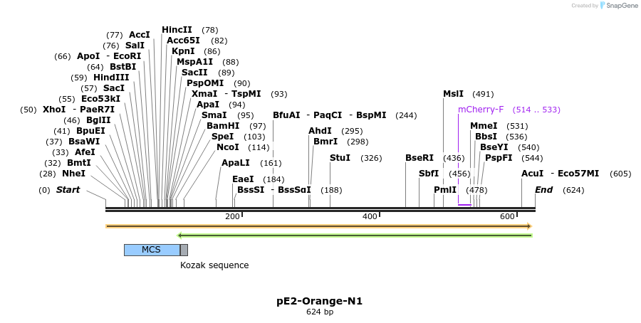 27489_map