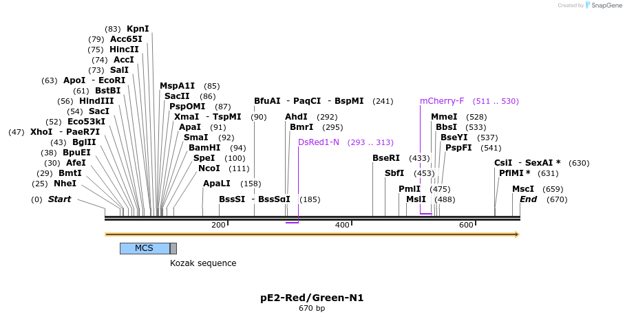 27490_map
