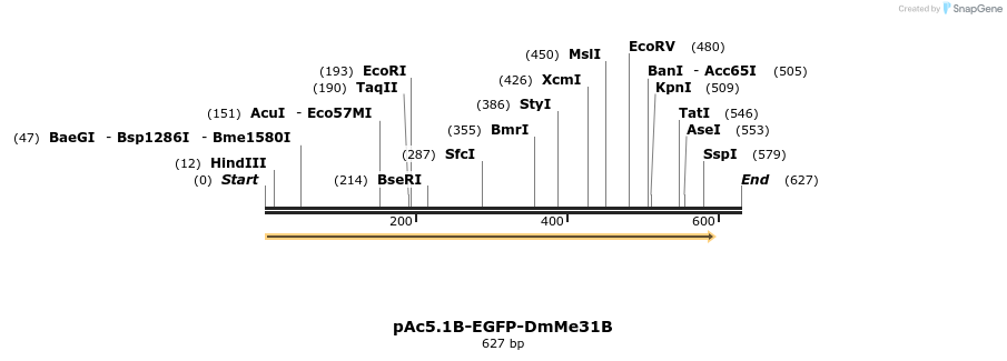 27491_map
