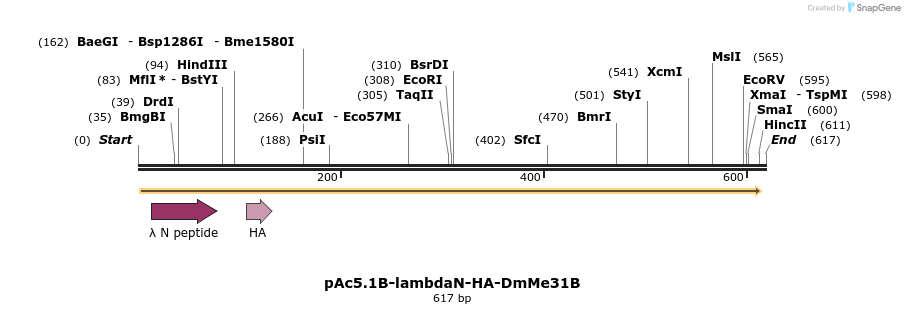 27492_map