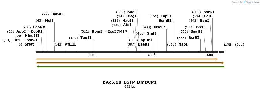 27493_map