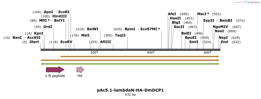 27494_map