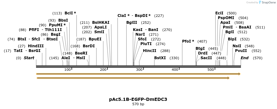 27496_map
