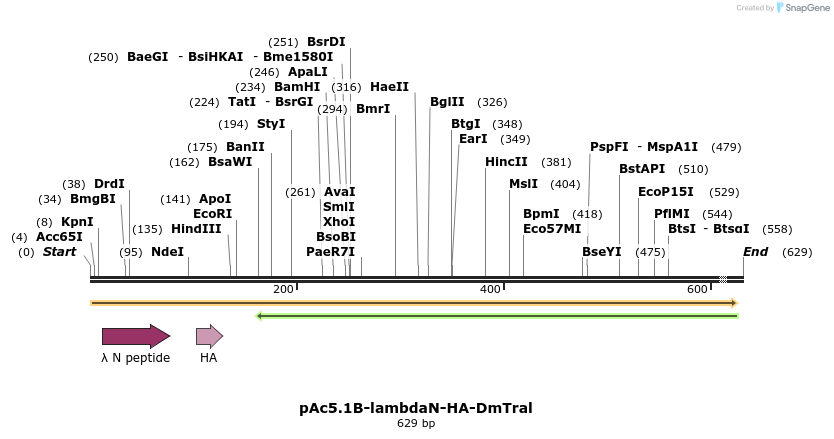 27497_map