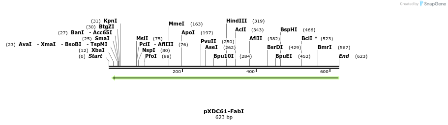 27499_map